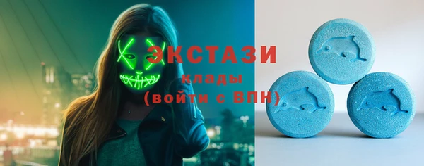 шишки Абаза