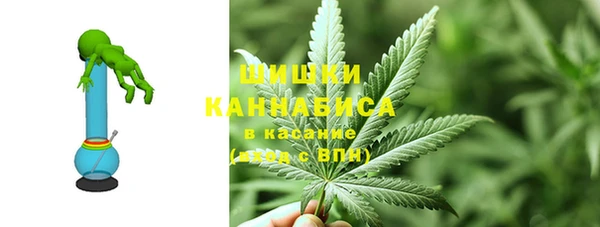 шишки Абаза