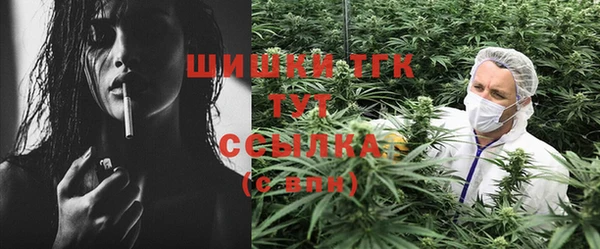 шишки Абаза