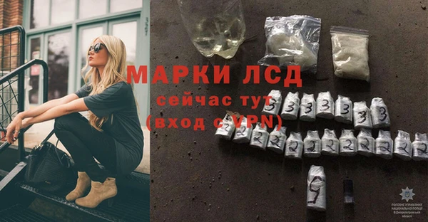 шишки Абаза
