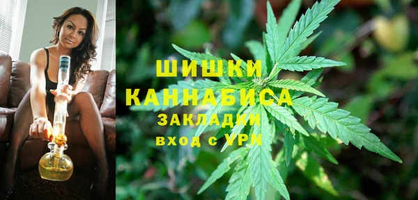 шишки Абаза