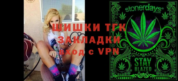 шишки Абаза