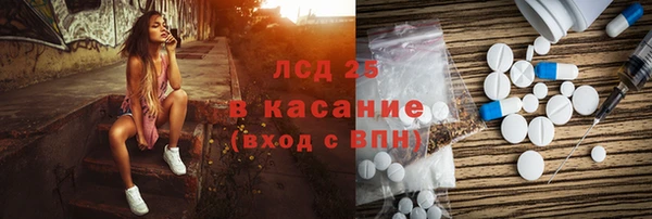 шишки Абаза