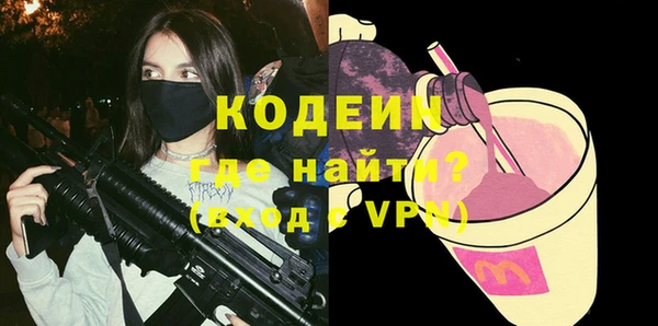 шишки Абаза