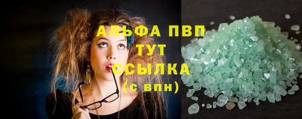 шишки Абаза