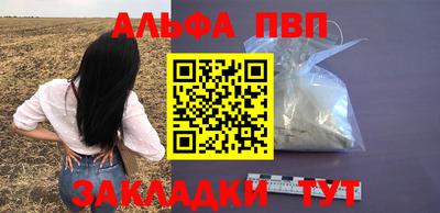 прущие грибы Донской