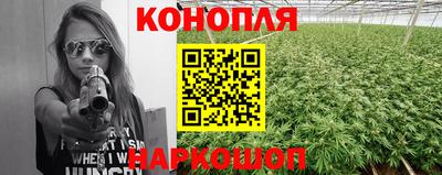 прущие грибы Донской