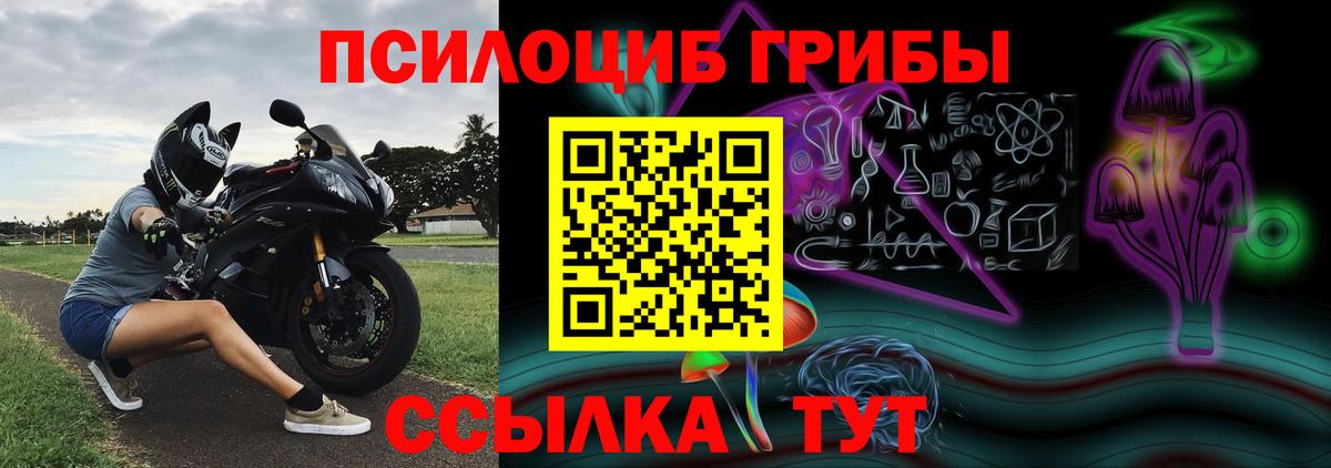Псилоцибиновые грибы мицелий Звенигород
